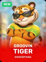 Groovin Tiger